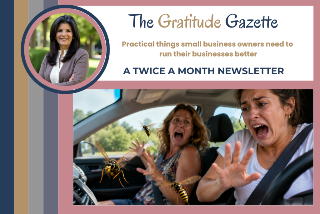 Gratitude Gazette Header showing a picture of two women panicking in a car where 3 wasps flew in